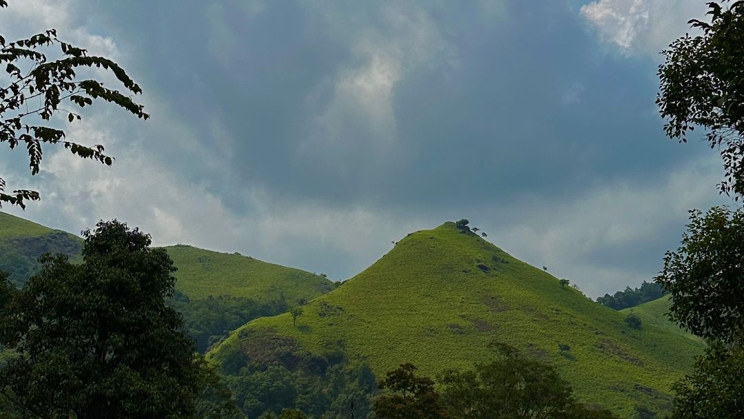 Qatal by Gaurav Thukral